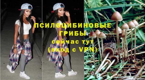 прущий лед Белоозёрский
